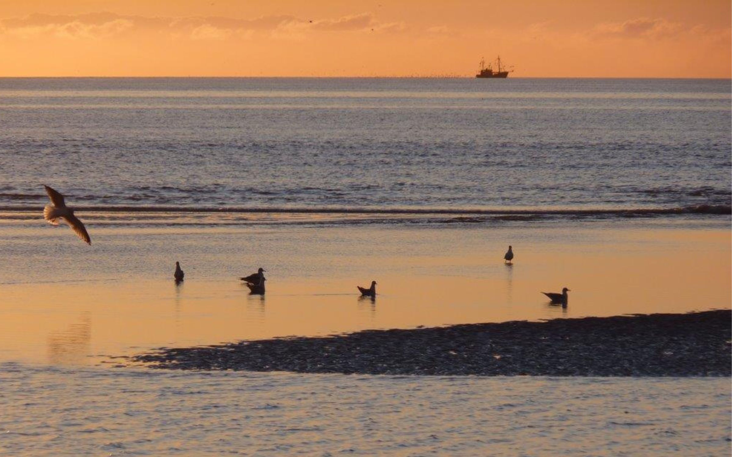 UNESCO-Weltnaturerbe Wattenmeer auf Eiderstedt