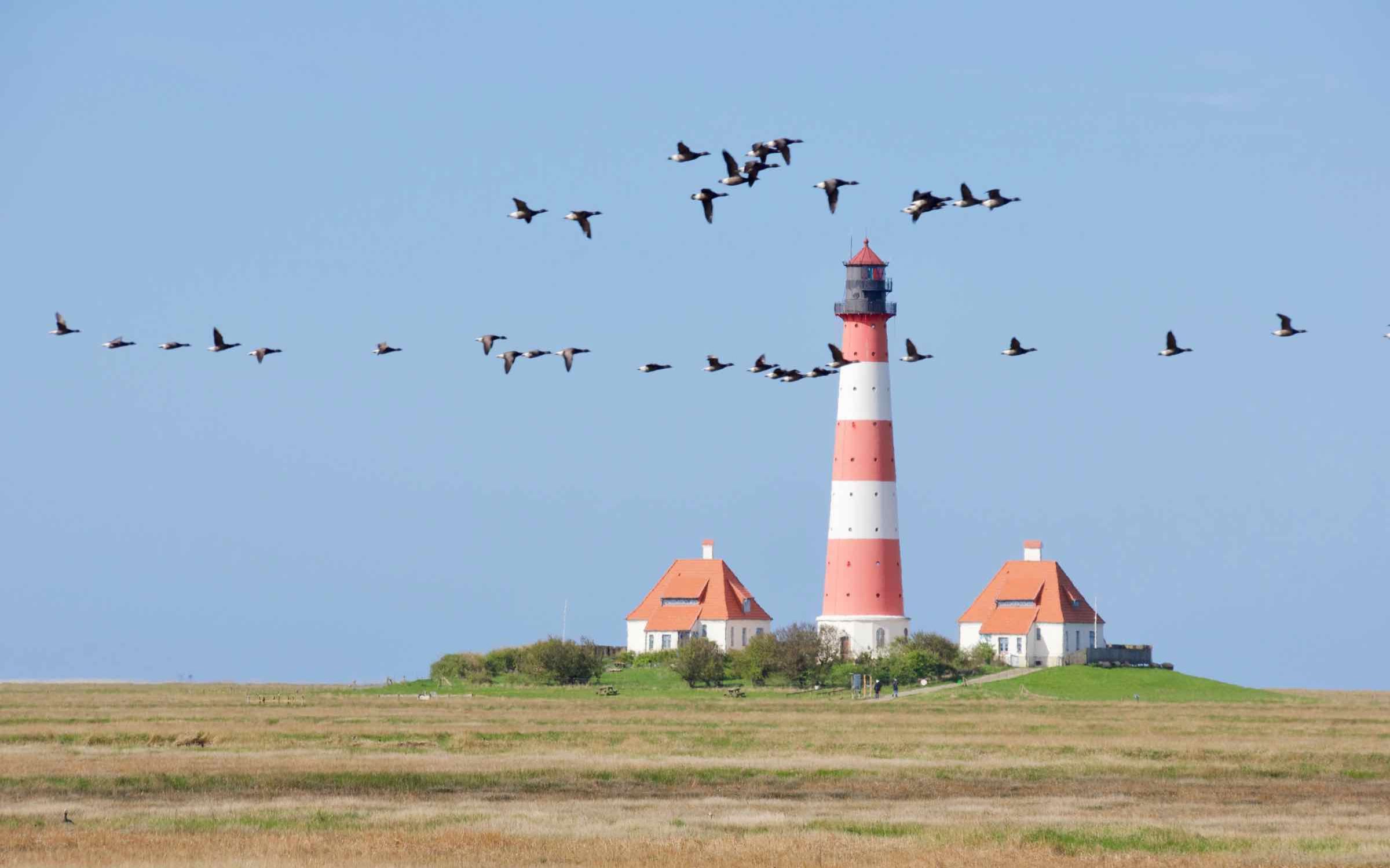 Leuchtturm Westerhever auf Eiderstedt in der Abendsonne